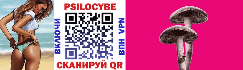 Псилоцибиновые грибы Psilocybe  где купить   Майкоп 