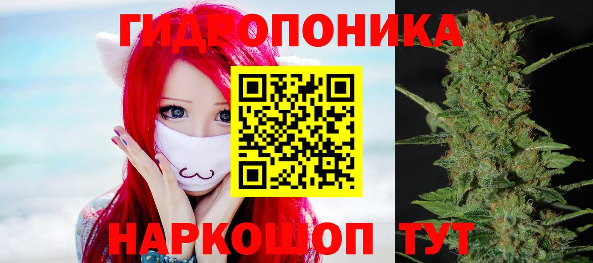 Конопля планчик  МАРИХУАНА White Widow  Вход с VPN  Майкоп  МАРИХУАНА MAZAR 